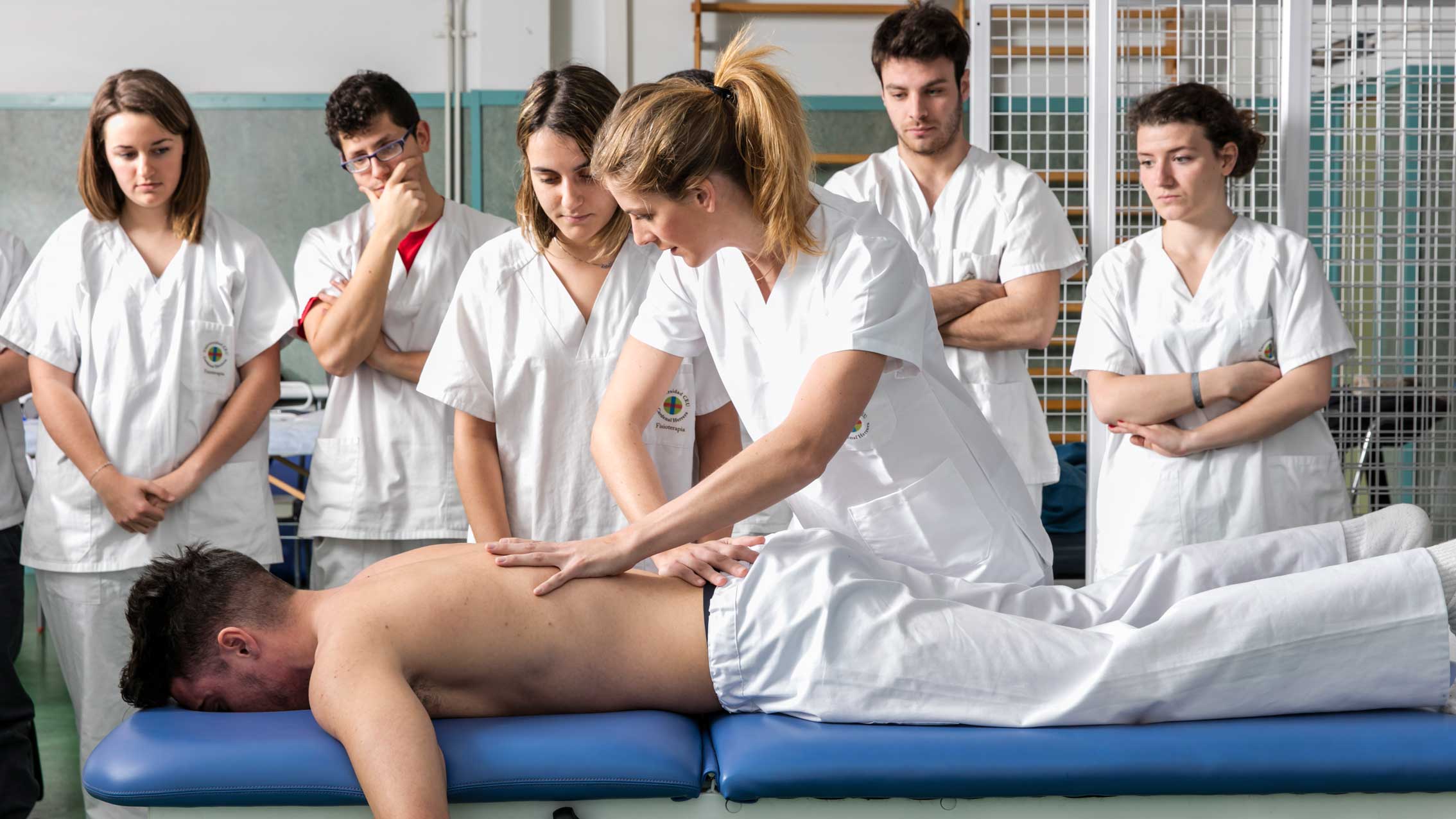 Fisioterapia profesional